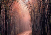 积分榜：印尼先赛仍6分&净胜球暂多国足3个，澳大利亚10分居第2.