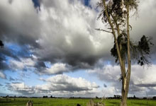 鲸鱼体育：处境微妙！米体：尤文总监琼托利的未来取决于能否获欧冠资格.