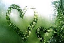 鲸鱼体育：英超-加克波世界波萨拉赫破门 利物浦3-1莱斯特城.