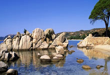 比约尔：国米的兴趣？我确信今夏会有一些机会出现.